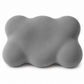 Cloud Memory Foam Contour Pillow - Silk Rolla