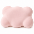 Cloud Memory Foam Contour Pillow - Silk Rolla