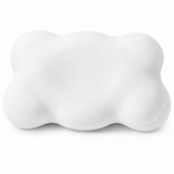 Cloud Memory Foam Contour Pillow - Silk Rolla