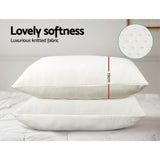 Memory Foam Pillow 2 Pack