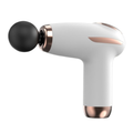 Portable Massage Gun - Silk Rolla
