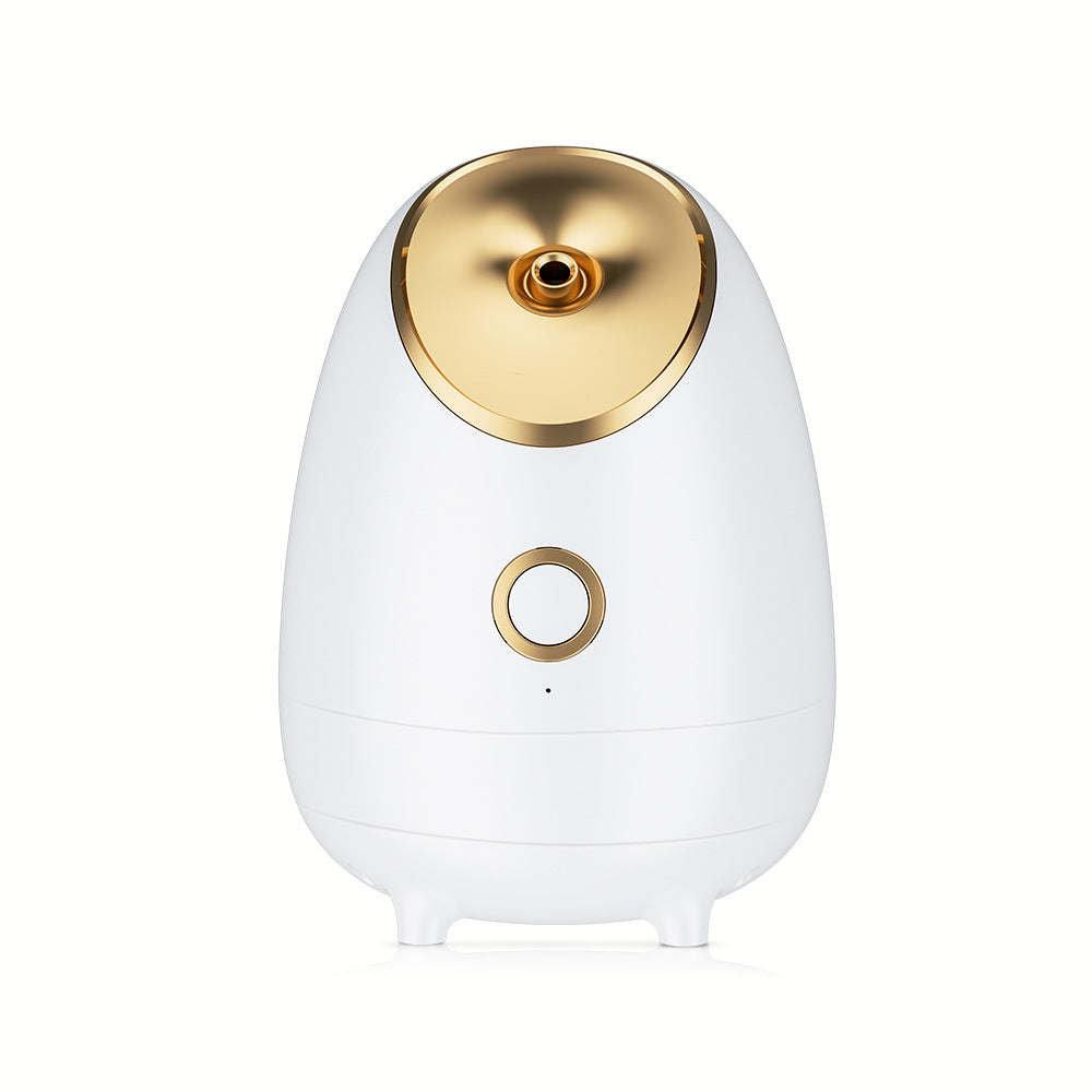 Nano Ionic Facial Steamer – Deep Hydration Hot Mist Face Steamer for Home Spa & Skincare