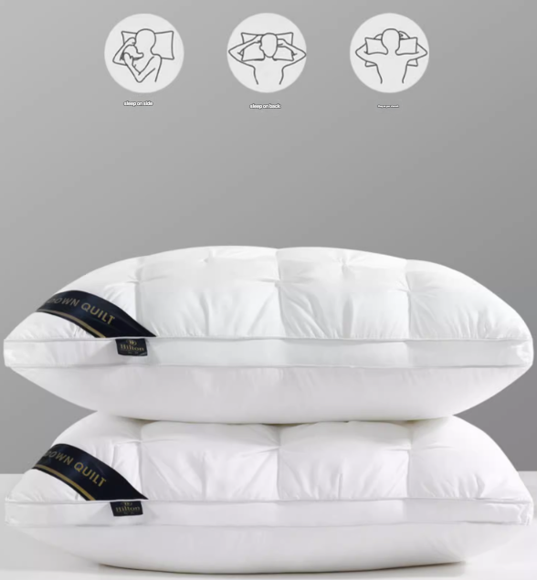 Adjustable Hotel Quality Down Alternative Pillows 2 Pack