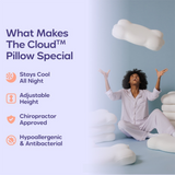 Cloud Memory Foam Contour Pillow - Silk Rolla